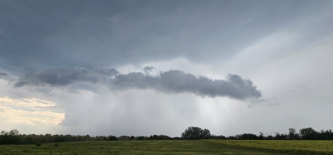 pic