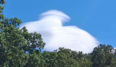 pic