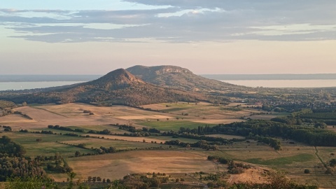 pic