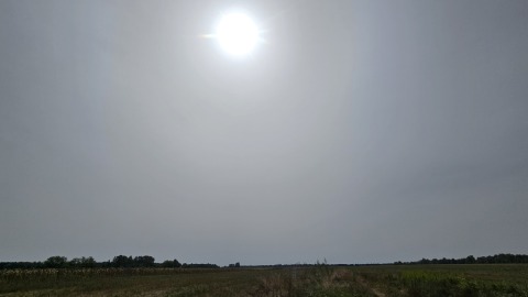 pic