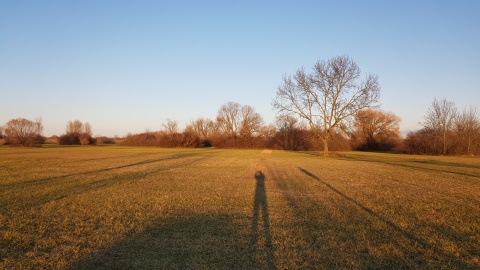pic
