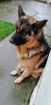 pic