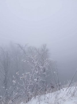 pic
