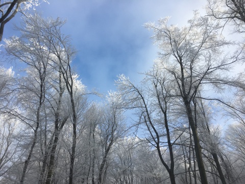 pic