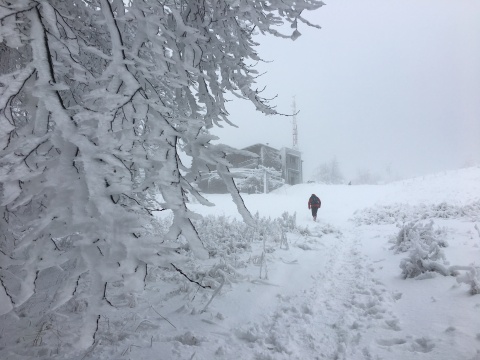 pic