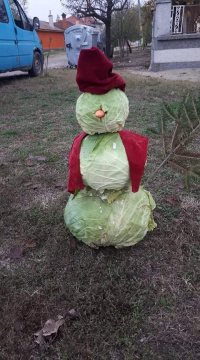 pic