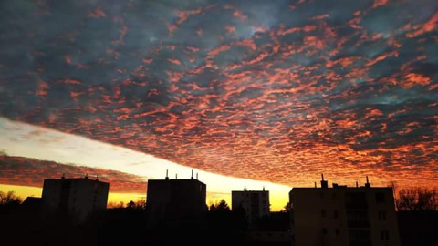pic