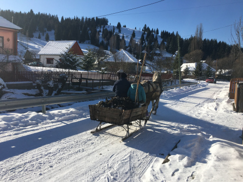 pic