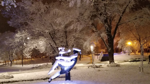 pic