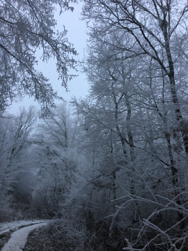 pic
