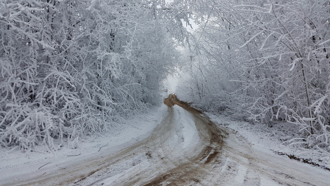 pic