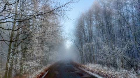 pic