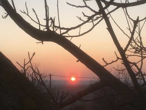 pic