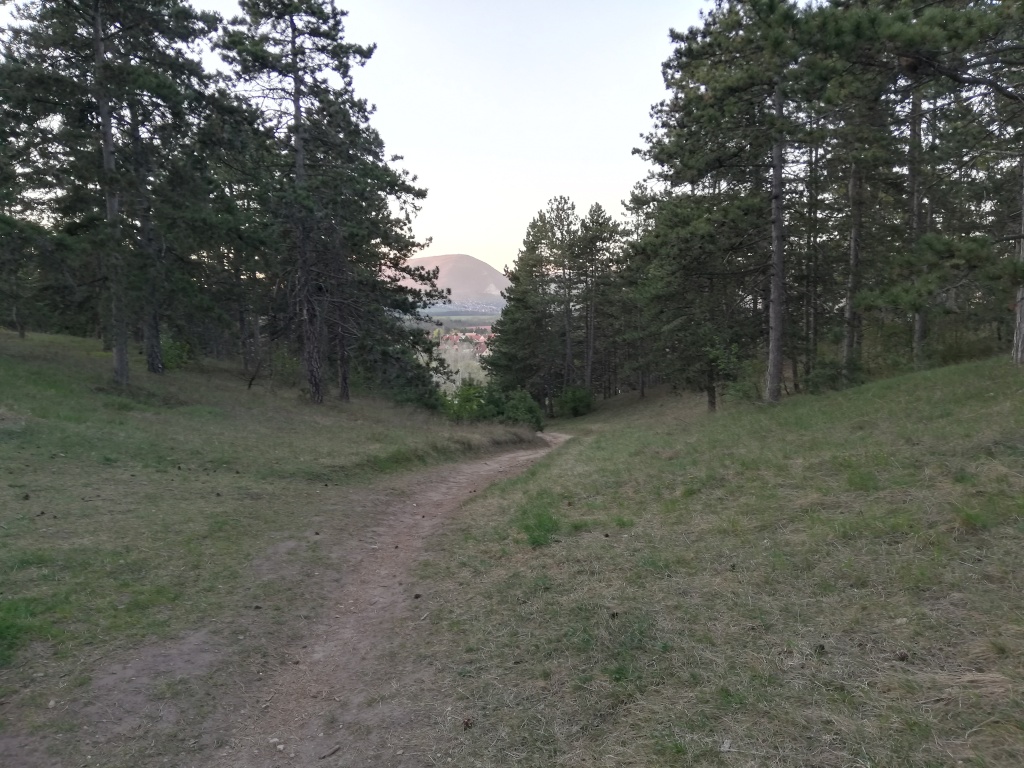 beillesztett kép