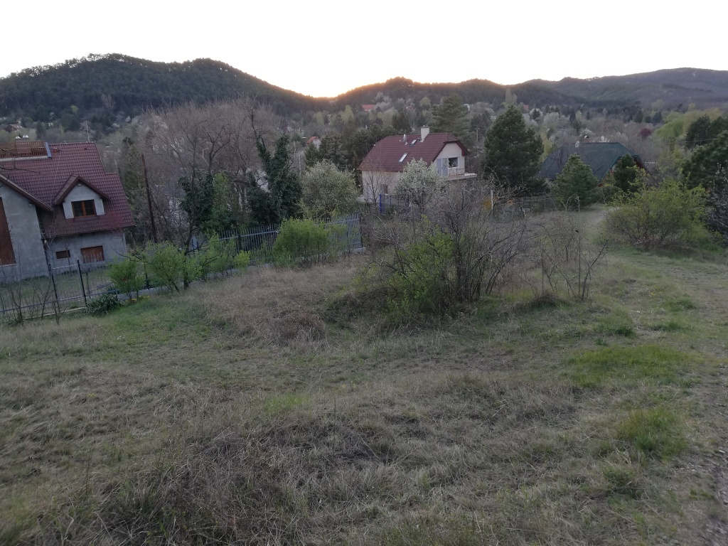 beillesztett kép