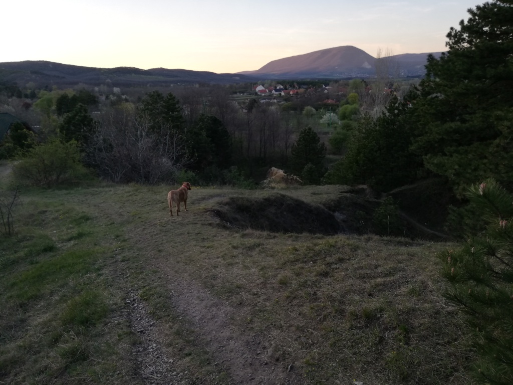 beillesztett kép