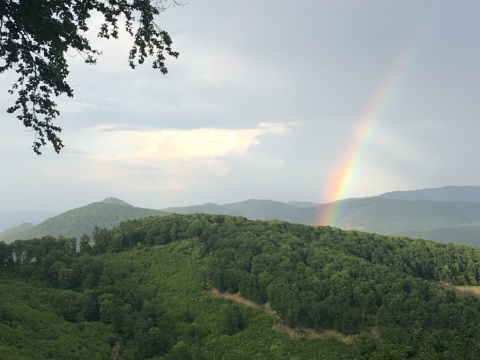 pic