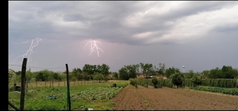 pic