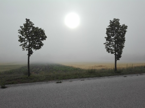 pic