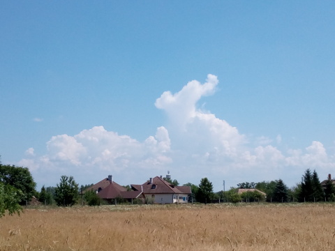 pic