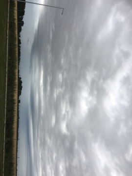 pic