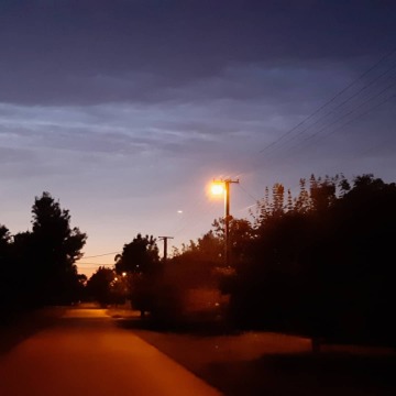 pic