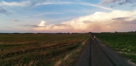 pic