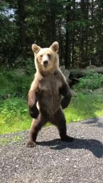 pic