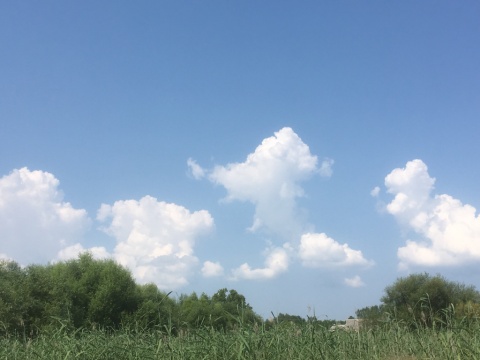 pic