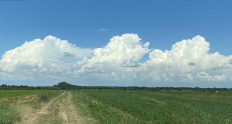 pic