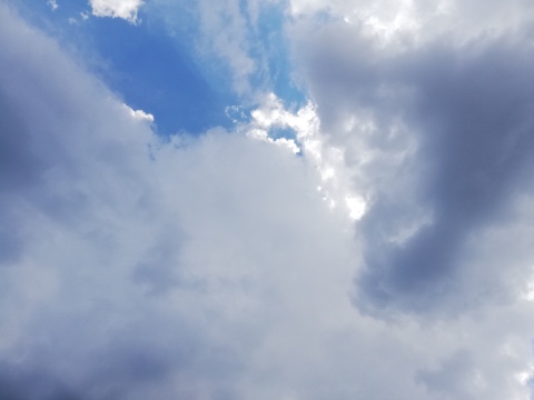 pic