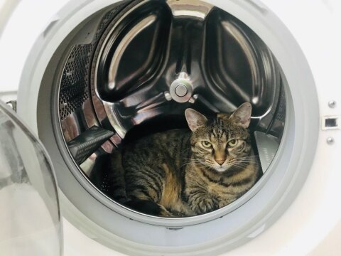 pic