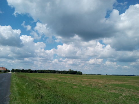 pic