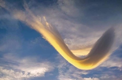 pic