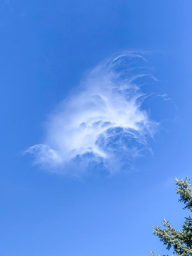 pic