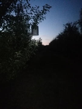 pic