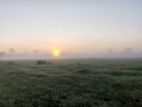 pic