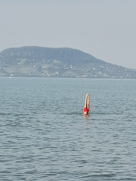 pic
