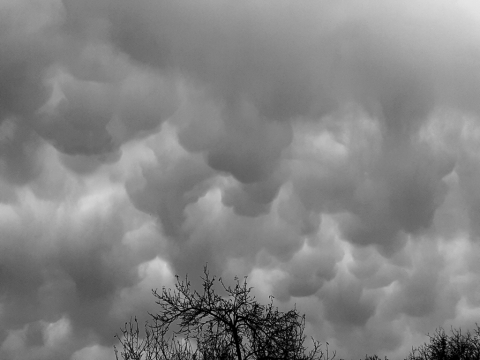 pic