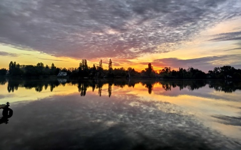 pic