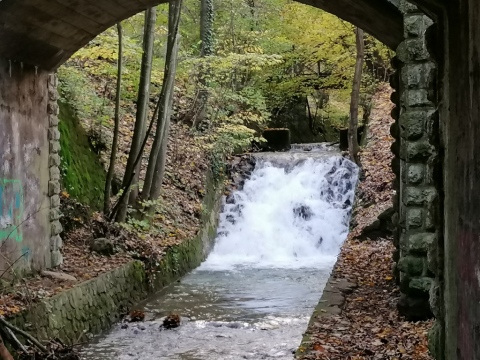 pic