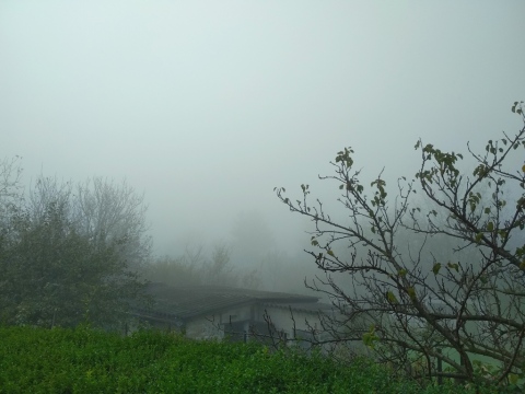 pic