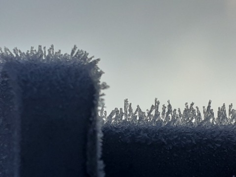 pic