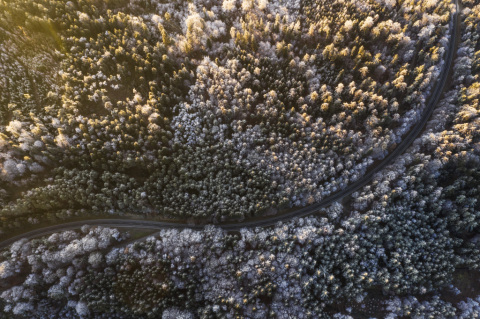 pic