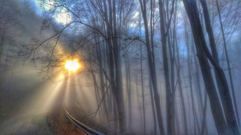 pic