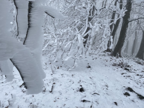 pic