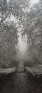 pic