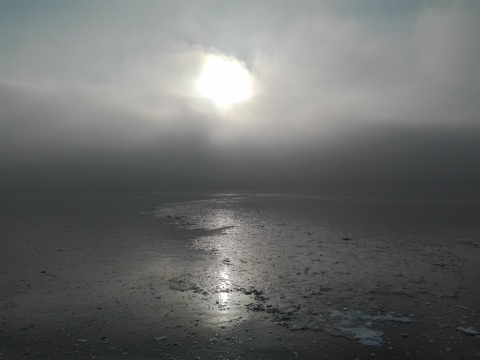 pic