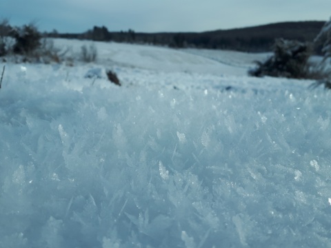 pic