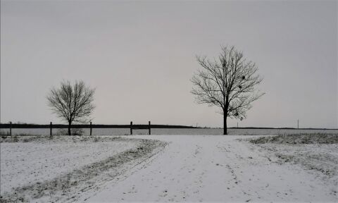 pic